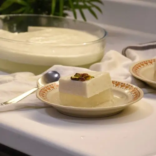 Tender Coconut Pudding