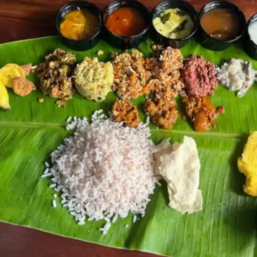 Light Dinner Veg Combo 